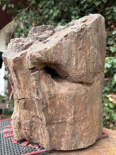 Legno - ☘️rr⛏️:,